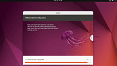 Ubuntu 安装